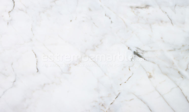 White Vogue white marble from Portugal